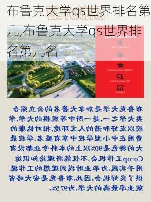 布鲁克大学qs世界排名第几,布鲁克大学qs世界排名第几名