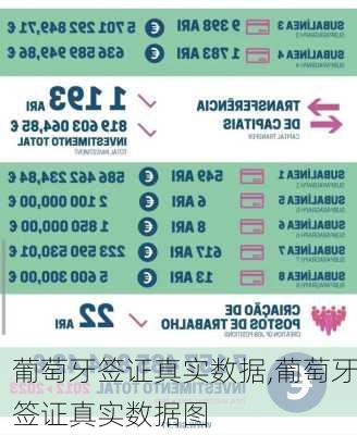 葡萄牙签证真实数据,葡萄牙签证真实数据图