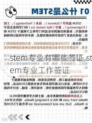 stem专业有哪些签证,stem专业工作签证