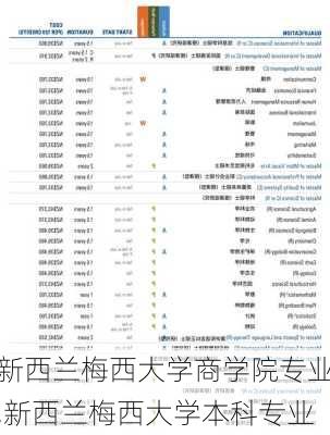 新西兰梅西大学商学院专业,新西兰梅西大学本科专业