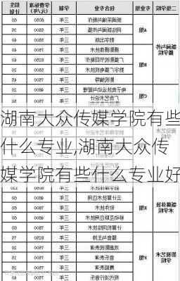 湖南大众传媒学院有些什么专业,湖南大众传媒学院有些什么专业好