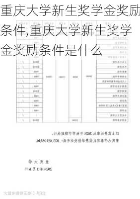 重庆大学新生奖学金奖励条件,重庆大学新生奖学金奖励条件是什么