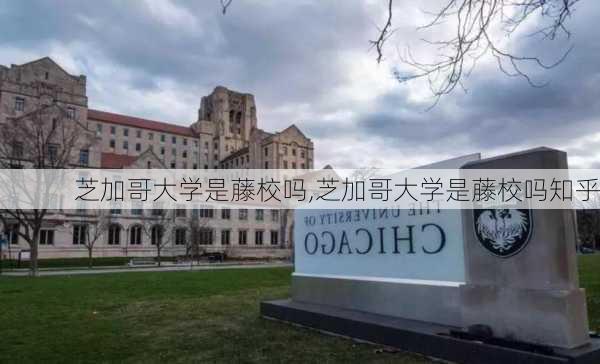 芝加哥大学是藤校吗,芝加哥大学是藤校吗知乎