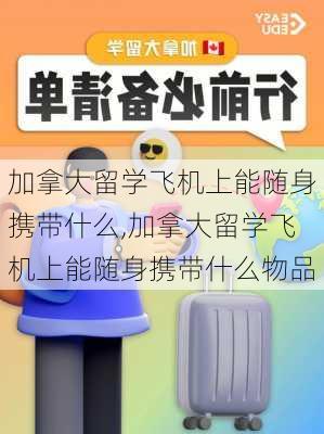 加拿大留学飞机上能随身携带什么,加拿大留学飞机上能随身携带什么物品