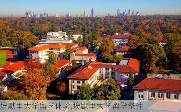 埃默里大学留学体验,埃默里大学留学条件