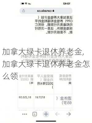 加拿大绿卡退休养老金,加拿大绿卡退休养老金怎么领