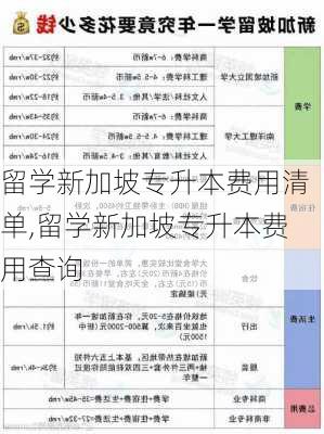 留学新加坡专升本费用清单,留学新加坡专升本费用查询