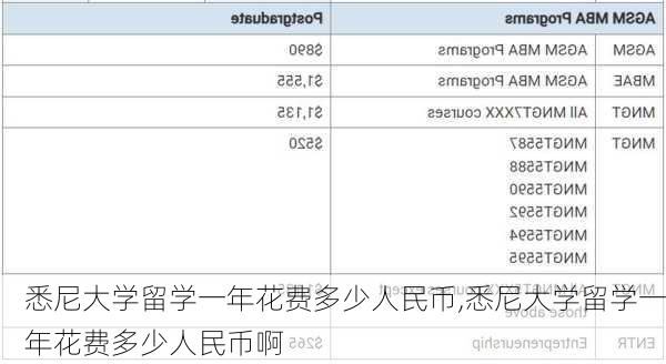 悉尼大学留学一年花费多少人民币,悉尼大学留学一年花费多少人民币啊