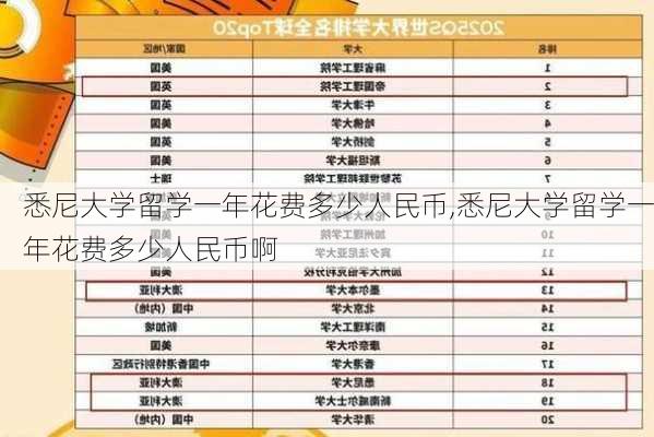 悉尼大学留学一年花费多少人民币,悉尼大学留学一年花费多少人民币啊