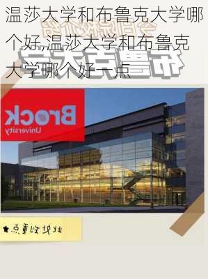 温莎大学和布鲁克大学哪个好,温莎大学和布鲁克大学哪个好一点