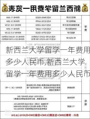 新西兰大学留学一年费用多少人民币,新西兰大学留学一年费用多少人民币