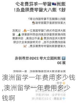 澳洲留学一年费用多少钱,澳洲留学一年费用多少钱啊