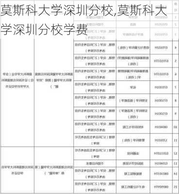 莫斯科大学深圳分校,莫斯科大学深圳分校学费