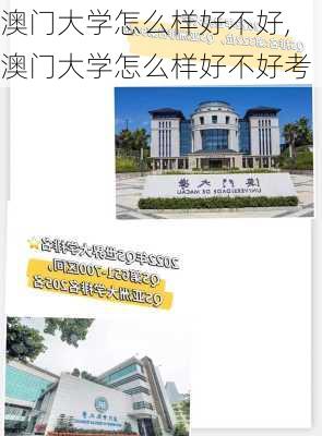 澳门大学怎么样好不好,澳门大学怎么样好不好考