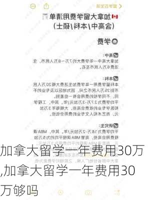 加拿大留学一年费用30万,加拿大留学一年费用30万够吗