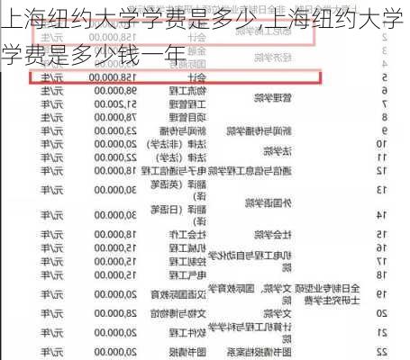 上海纽约大学学费是多少,上海纽约大学学费是多少钱一年