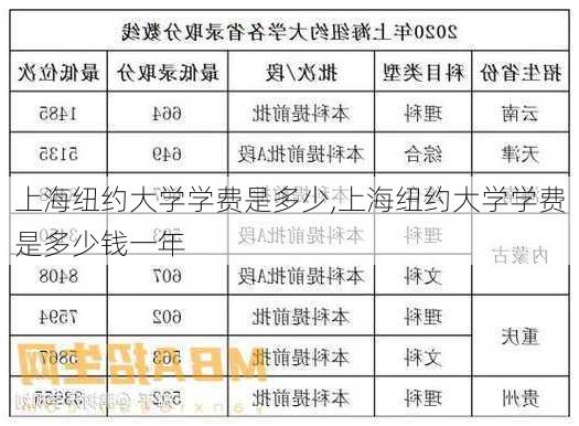 上海纽约大学学费是多少,上海纽约大学学费是多少钱一年