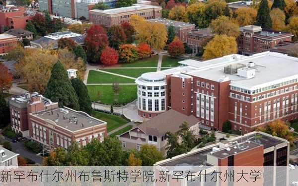 新罕布什尔州布鲁斯特学院,新罕布什尔州大学