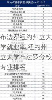 布法罗纽约州立大学就业率,纽约州立大学布法罗分校专业排名