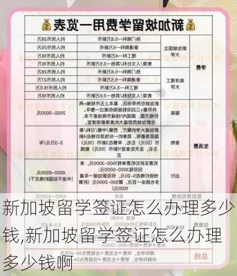 新加坡留学签证怎么办理多少钱,新加坡留学签证怎么办理多少钱啊