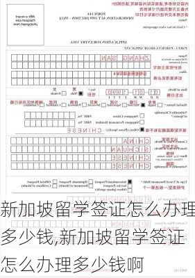 新加坡留学签证怎么办理多少钱,新加坡留学签证怎么办理多少钱啊