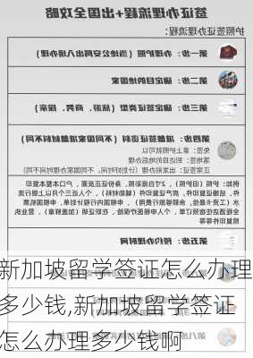 新加坡留学签证怎么办理多少钱,新加坡留学签证怎么办理多少钱啊