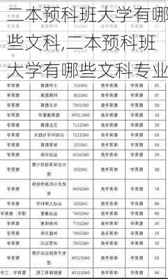 二本预科班大学有哪些文科,二本预科班大学有哪些文科专业