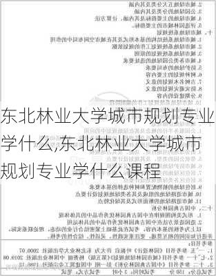 东北林业大学城市规划专业学什么,东北林业大学城市规划专业学什么课程