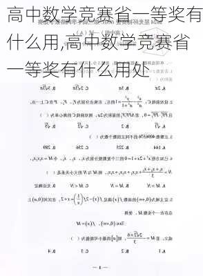 高中数学竞赛省一等奖有什么用,高中数学竞赛省一等奖有什么用处