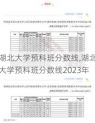 湖北大学预科班分数线,湖北大学预科班分数线2023年