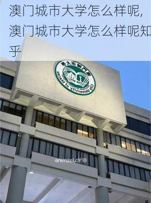 澳门城市大学怎么样呢,澳门城市大学怎么样呢知乎