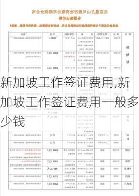 新加坡工作签证费用,新加坡工作签证费用一般多少钱