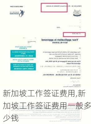 新加坡工作签证费用,新加坡工作签证费用一般多少钱