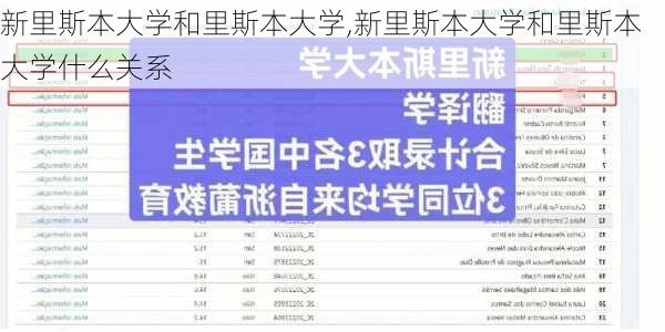 新里斯本大学和里斯本大学,新里斯本大学和里斯本大学什么关系