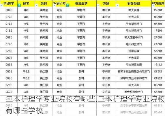 二本护理学专业院校有哪些,二本护理学专业院校有哪些学校