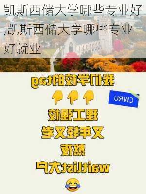 凯斯西储大学哪些专业好,凯斯西储大学哪些专业好就业