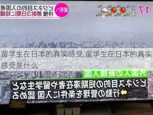 留学生在日本的真实感受,留学生在日本的真实感受是什么