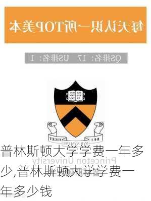 普林斯顿大学学费一年多少,普林斯顿大学学费一年多少钱