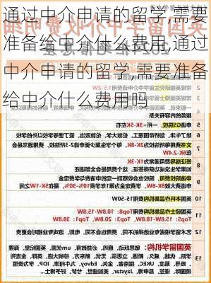 通过中介申请的留学,需要准备给中介什么费用,通过中介申请的留学,需要准备给中介什么费用吗