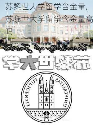 苏黎世大学留学含金量,苏黎世大学留学含金量高吗