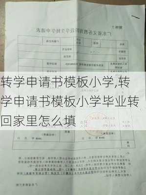 转学申请书模板小学,转学申请书模板小学毕业转回家里怎么填