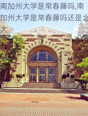 南加州大学是常春藤吗,南加州大学是常春藤吗还是北大