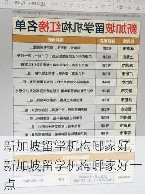 新加坡留学机构哪家好,新加坡留学机构哪家好一点