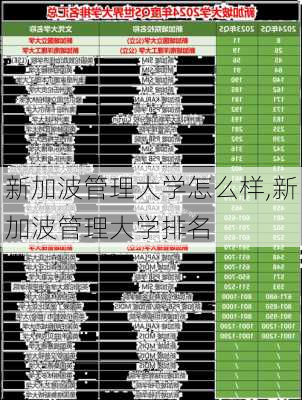 新加波管理大学怎么样,新加波管理大学排名