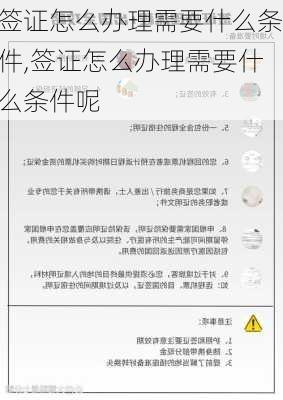 签证怎么办理需要什么条件,签证怎么办理需要什么条件呢