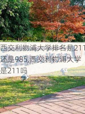 西交利物浦大学排名是211还是985,西交利物浦大学是211吗