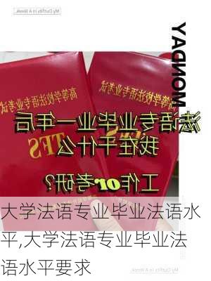 大学法语专业毕业法语水平,大学法语专业毕业法语水平要求