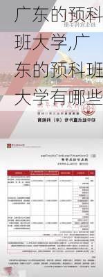 广东的预科班大学,广东的预科班大学有哪些