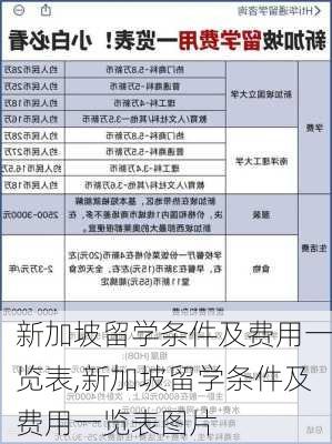 新加坡留学条件及费用一览表,新加坡留学条件及费用一览表图片