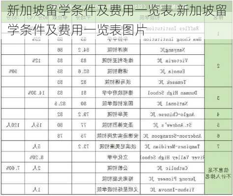 新加坡留学条件及费用一览表,新加坡留学条件及费用一览表图片